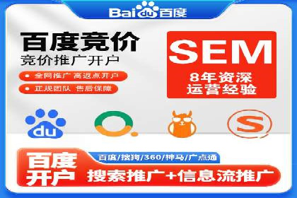 SEM竞价实战：成功案例解析